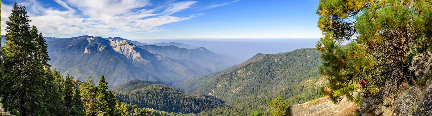 Banner for Board + Staff